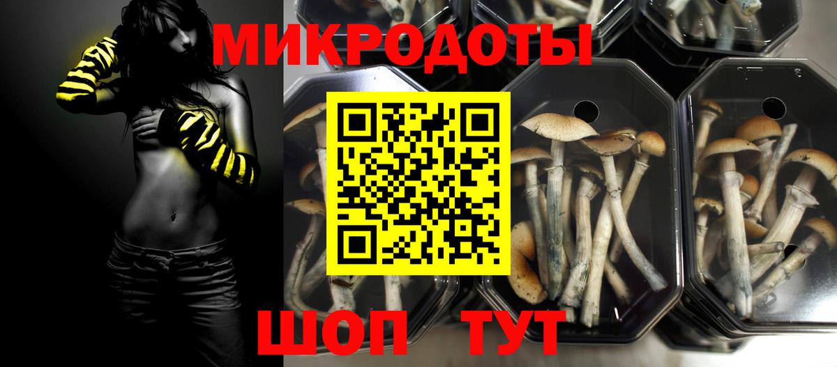Миллерово  Галлюциногенные грибы Magic Shrooms  купить  цена  Вход с VPN  Псилоцибиновые грибы Magic Shrooms 