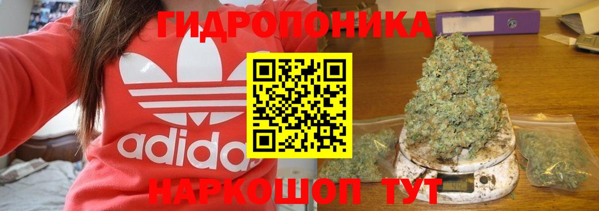 Шишки марихуана VHQ  Конопля индика  Каннабис White Widow  Вход с VPN  Миллерово 